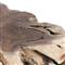 Prescy Coastal Beach Natural Teak Root Square Coffee Table