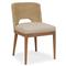 Adelyn Coastal Beach Beige Performance Brown Teak Woven Dining Chair