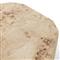Daphne Modern Classic Light Burl Round Drum Coffee Table