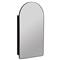 Alaina Modern Classic Black Arched Medicine Cabinet Mirror