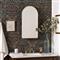 Alaina Modern Classic Gold Arched Medicine Cabinet Mirror