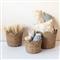 Cadmus Coastal Natural Rattan Scalloped Basket - Set of 3