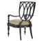 Hermine French Sand Sunbrella Black Aluminum Outdoor Dining Arm Chair