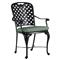 Provance Green Sunbrella Earth Black Outdoor Dining Arm Chair