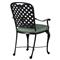 Provance Green Sunbrella Earth Black Outdoor Dining Arm Chair