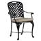 Provance Beige Sunbrella Earth Black Outdoor Dining Arm Chair