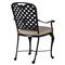 Provance Beige Sunbrella Earth Black Outdoor Dining Arm Chair
