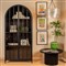 Gabriel Modern Classic Black Iron Arched Display Case