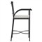 Emeline Cream Upholstered Black Iron Outdoor Counter Stool