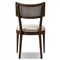 Tina Modern Beige Performance Dark Brown Oak Wood Cane Dining Chair