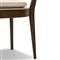 Tina Modern Beige Performance Dark Brown Oak Wood Cane Dining Chair