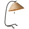 Camilla Coastal Seagrass Shade Black Iron Table Lamp