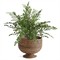 Hollis Updated Traditional Brown Rattan Footed Scalloped Planter