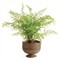 Hollis Updated Traditional Brown Rattan Footed Scalloped Planter