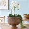 Hollis Updated Traditional Brown Rattan Footed Scalloped Planter