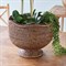 Hollis Updated Traditional Brown Rattan Footed Scalloped Planter