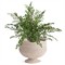 Hollis Updated Traditional Whitewash Rattan Footed Scalloped Planter