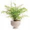 Hollis Updated Traditional Whitewash Rattan Footed Scalloped Planter