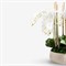 Bree Updated Traditional White Orchid Faux Floral Arrangement