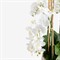 Bree Updated Traditional White Orchid Faux Floral Arrangement