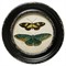 Verity Traditional Green Butterfly Black Frame Multipanel Illustration - 10x10
