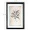Cressida Traditional Grey Floral Black Frame Multipanel Illustration - 23x16
