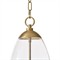 Maiden Updated Traditional Glass Shade Natural Brass Pendant