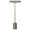 Amoura Modern Classic Aged Brass Iron Task Floor Lamp