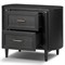 Ivan Modern Classic Matte Black Oak Nightstand