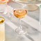 Juliska Nell Modern Classic Clear Coupe Glass