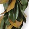 Louisa Updated Traditional Green Magnolia Garland
