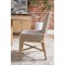 Orla Coastal Cream Performance Grey Wood Woven Dining Chair - Set of 2