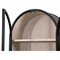 Colette Modern Classic Black Wood Display Cabinet
