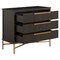 Riggs Modern Classic Sesame Black Mahogany Wood Brass Metal Bachelor Chest