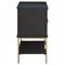 Riggs Modern Classic Sesame Black Mahogany Wood Brass Metal Wide Nightstand