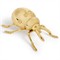 L&#39;Objet Ladybug Modern Classic Gold Metal Bottle Opener
