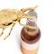 L&#39;Objet Ladybug Modern Classic Gold Metal Bottle Opener