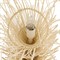 Kauai Coastal Beach Bleached Woven Rattan Chandelier