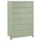 Elliana Coastal Beach Green Woven Rattan Tall Chest