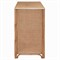 Elliana Coastal Beach Brown Woven Rattan Double Dresser