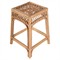 Cayden Coastal Beach Natural Rattan Counter Stool