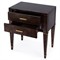 Renz Modern Classic Dark Brown Burl End Table