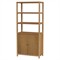 Shay Modern Classic Natural Wood Bookcase