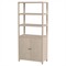Shay Modern Classic Taupe Wood Bookcase