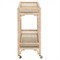 Jesse Coastal Beach Natural Woven Abaca Bar Cart