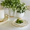 AERIN Coastal Beach White Ceramic Scalloped Nesting Serving Dish - Set of 3