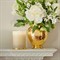 AERIN Madaket Geranium Modern Classic Glass Scented Candle