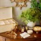 AERIN Updated Traditional Cream Embossed Shagreen Bar Tool Set