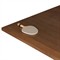 Seigfried Modern Classic Brown Oak Ping Pong Game Table