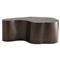 Meadow Modern Classic Antique Bronze Iron Abstract Oval Coffee Table